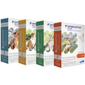 Interceptor Plus For Dogs