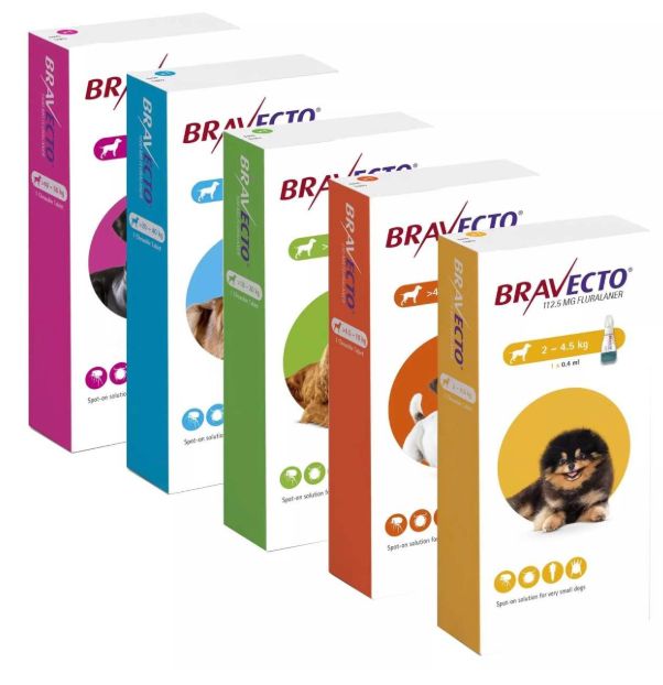 Bravecto for Dogs
