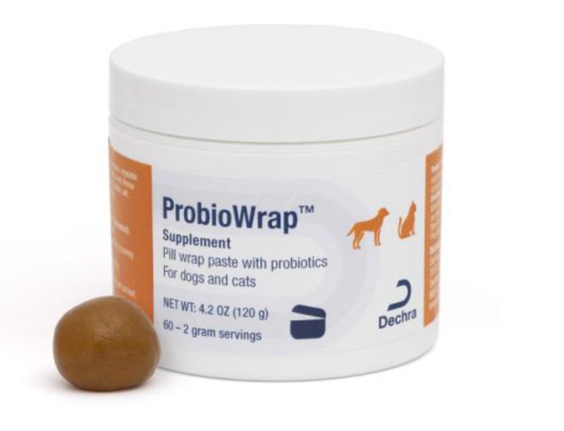 Probiowrap Pill Wrap Paste with Probiotics