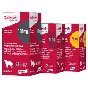Galliprant (Gapiprant)