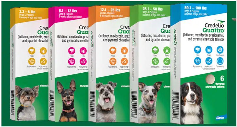 Credelio Quattro for Large Dogs (over 100 lbs)