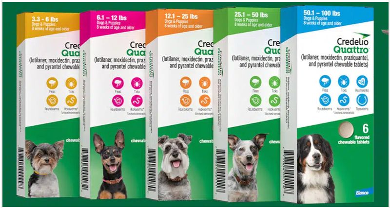 Credelio Quattro for Large Dogs (over 100 lbs)