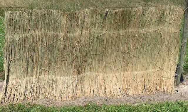 Marsh Grass Mats (8' long x 4' tall) (3 mats/roll-24')
Local pick-up only