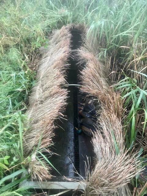 Marsh Grass Mats (8' long x 4' tall) (3 mats/roll-24')