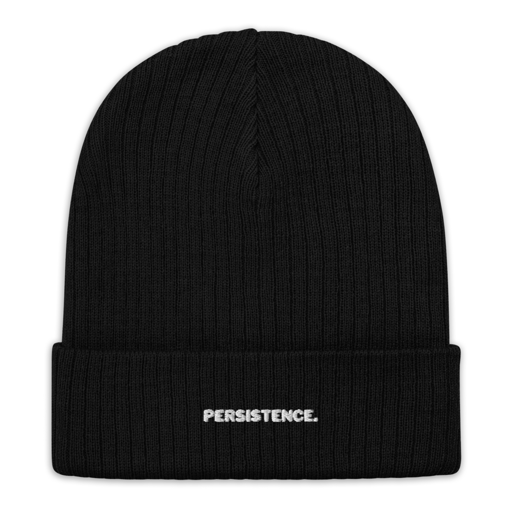 Ribbed knit beanie | Persistence