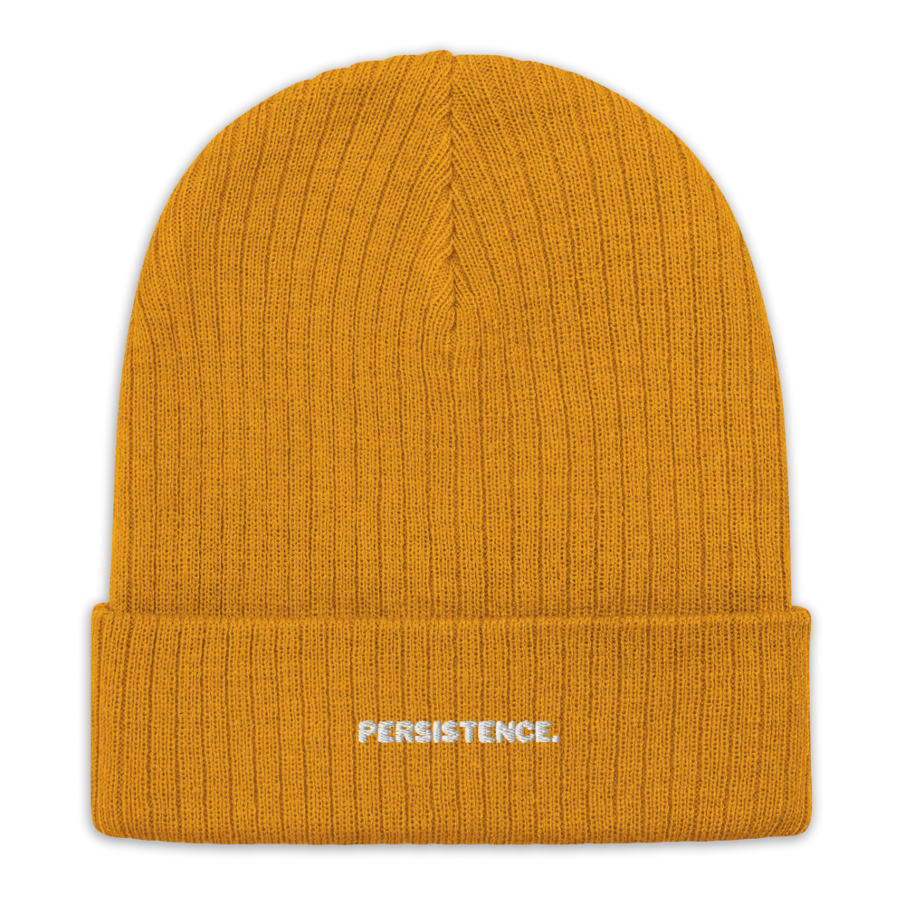 Ribbed knit beanie | Persistence