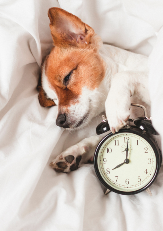 Emergency 24hr respite care