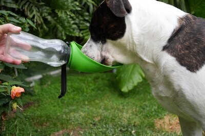 Dog Products | Poo Bag Holders, Waterbottle, Hats