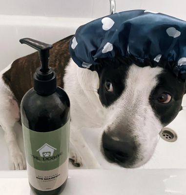 Dog Shampoo | All Natural Non Toxic