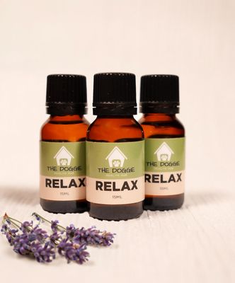 Anxiety Support | Relax Essential Oil Blend