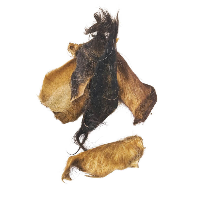 Cow Ear (hairy)