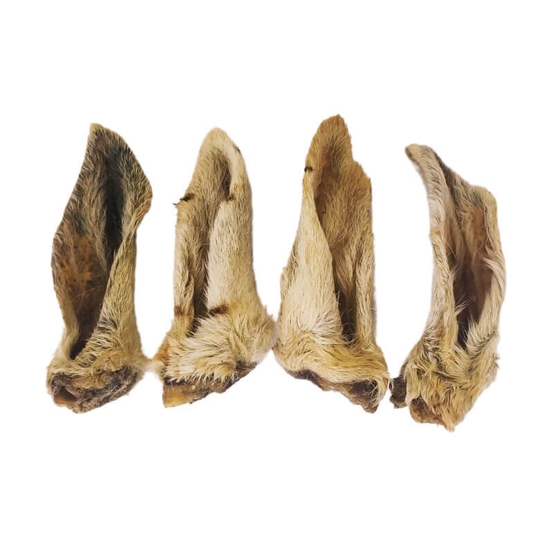 Lamb Ear (with hair)