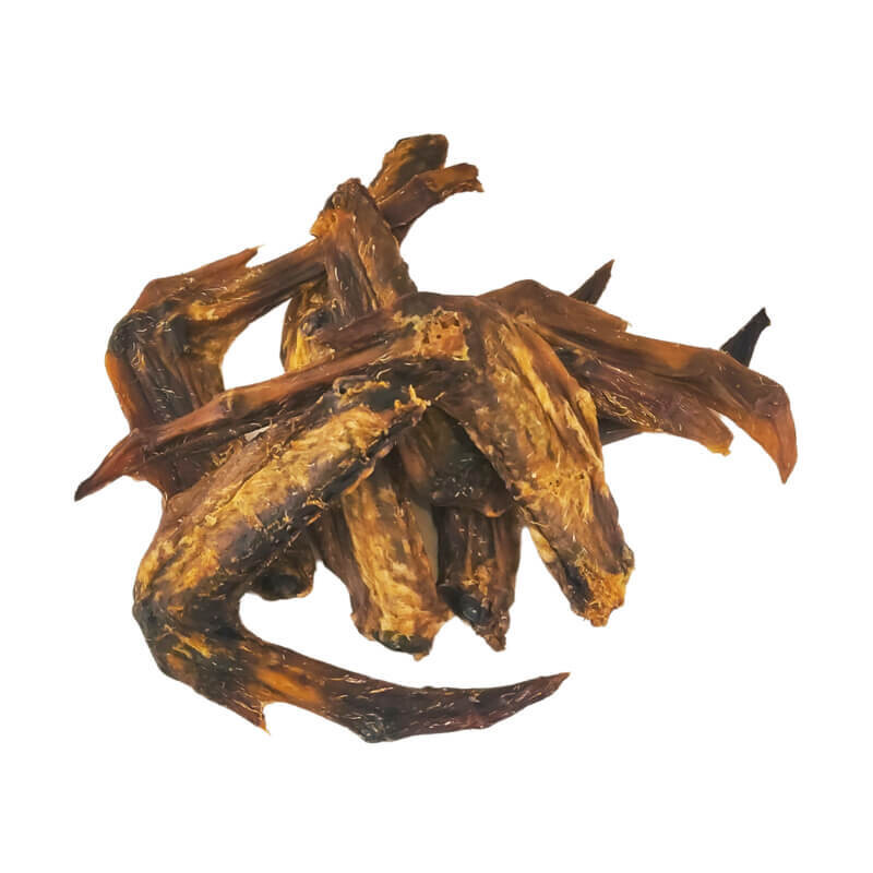 Duck Wing