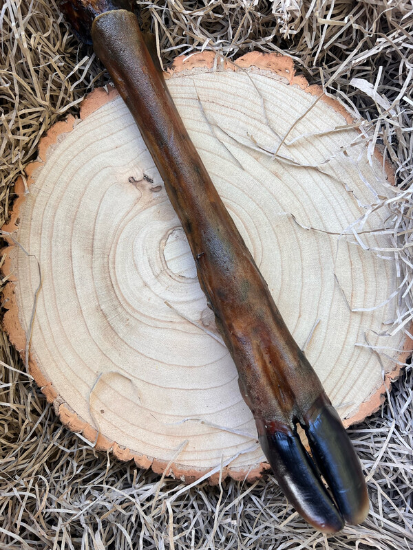 Large Deer Leg