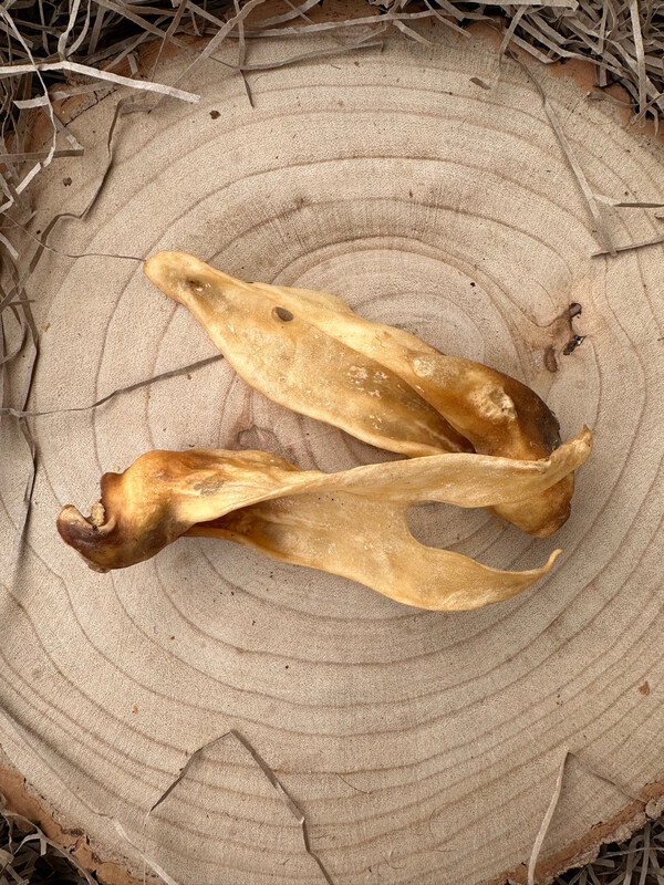 Natural Goat Ear