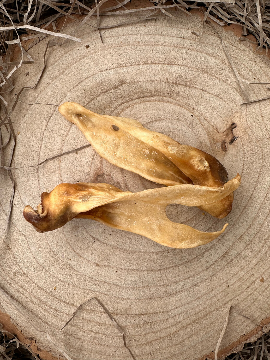 Natural Goat Ear
