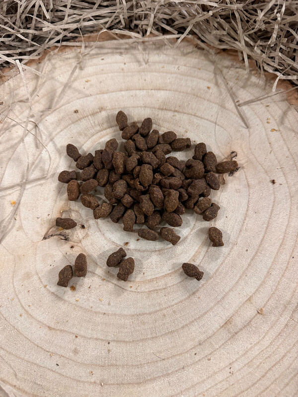 Grain Free Fish Treats