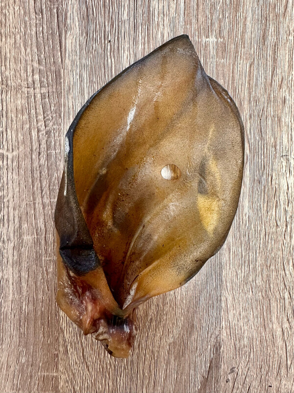 Buffalo Ear
