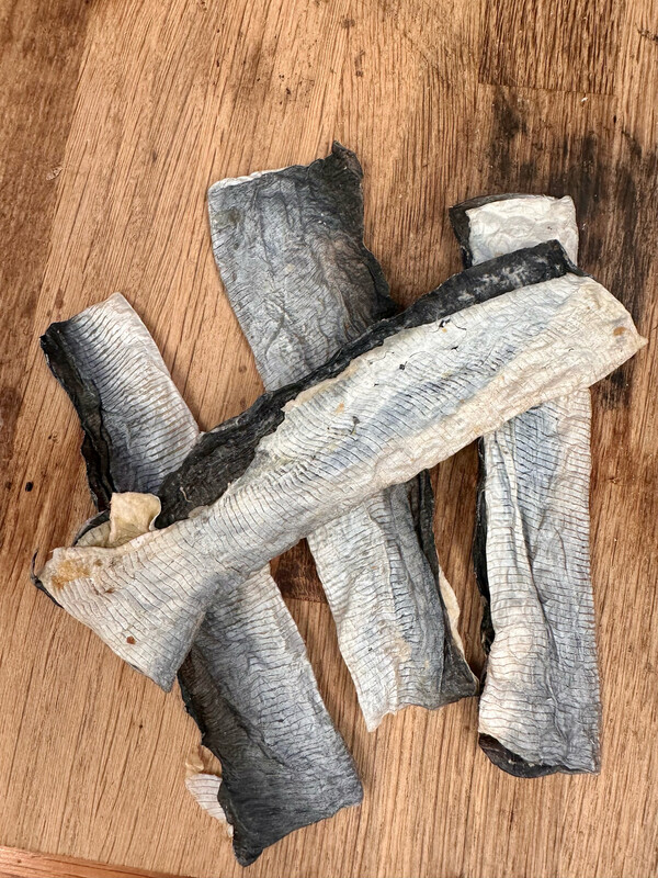 Fish Flatties
