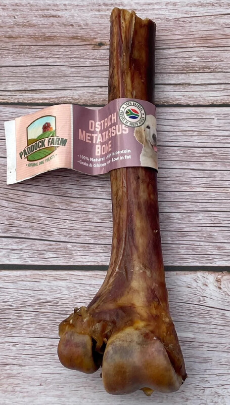 Ostrich Metatarsus Bone