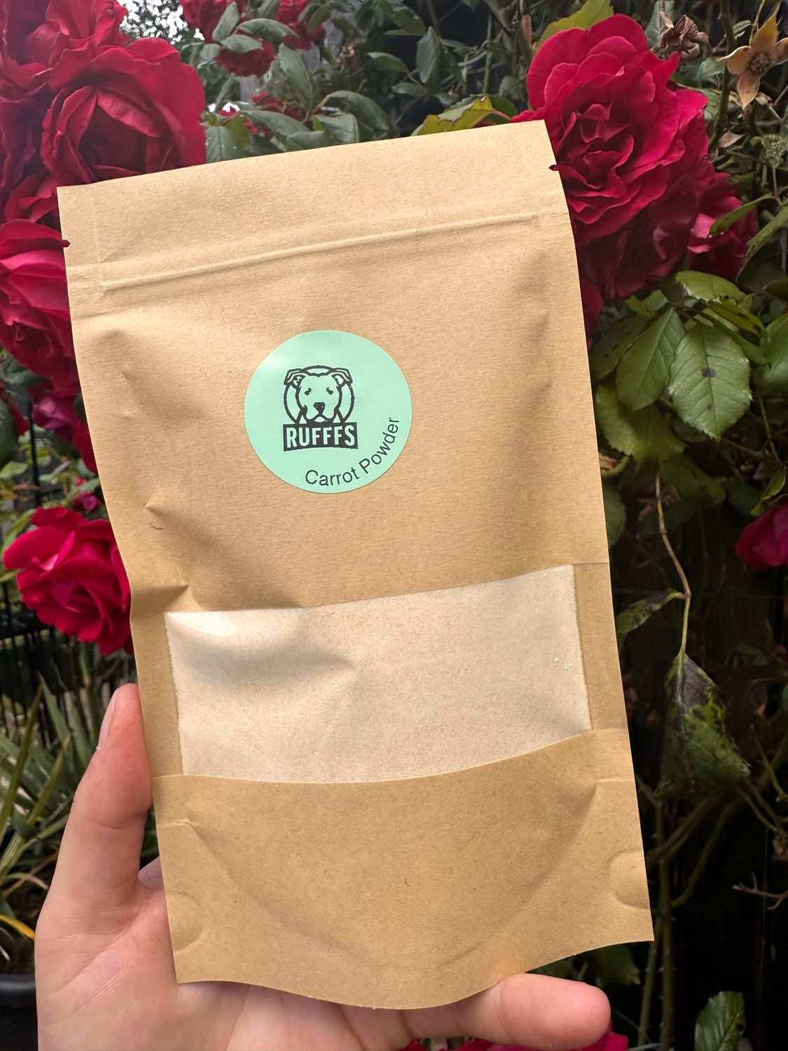 Carrot Powder