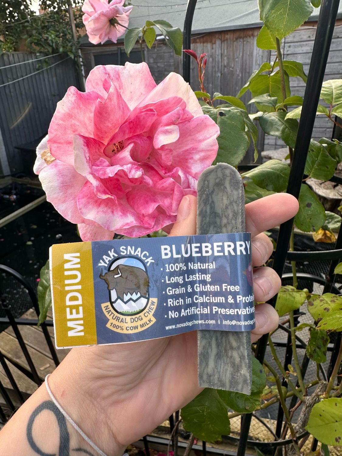 Medium Yak Blueberry