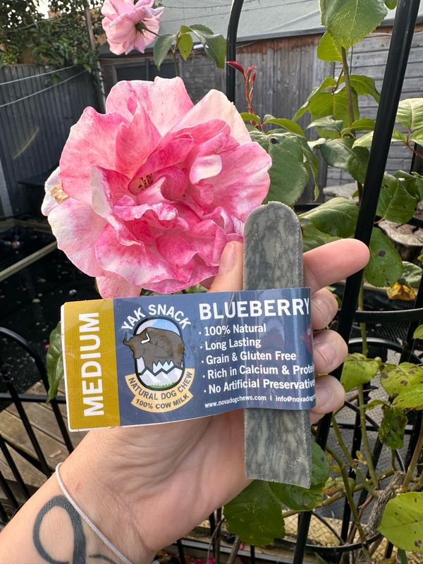 Medium Yak Blueberry