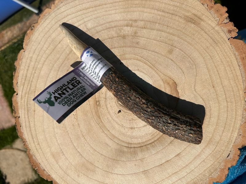 Antler Medium