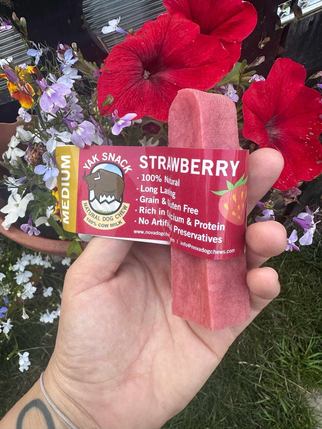 Medium Yak Strawberry