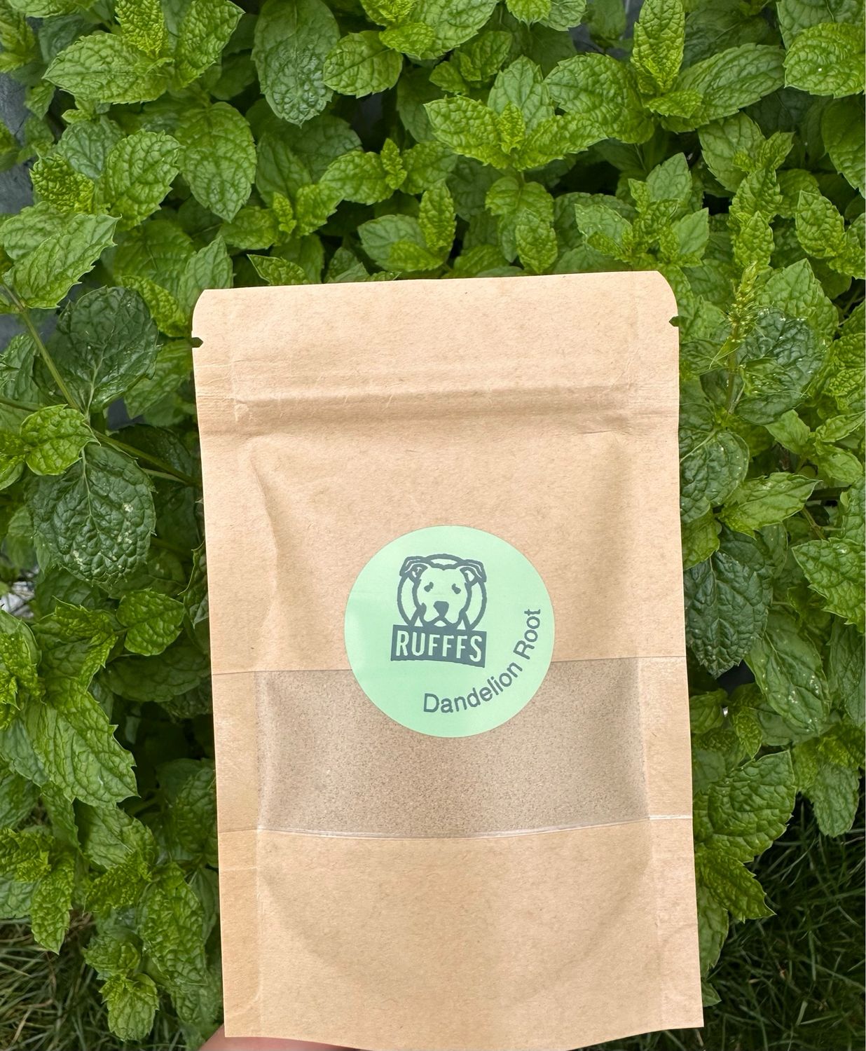 Organic Dandelion Root Powder
