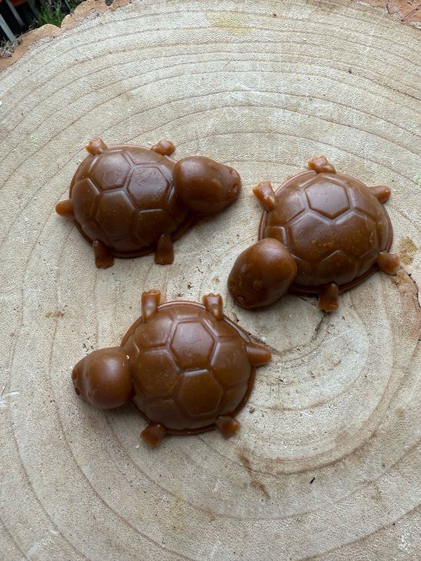 Vegetable And Peanut Butter Turtle