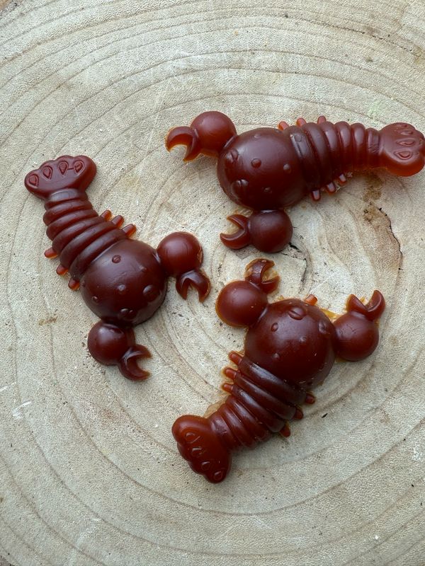 Carrot And Pumpkin Lobster
