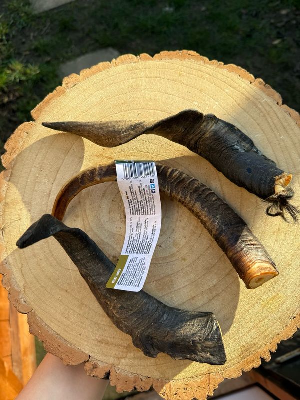 Goat Horn