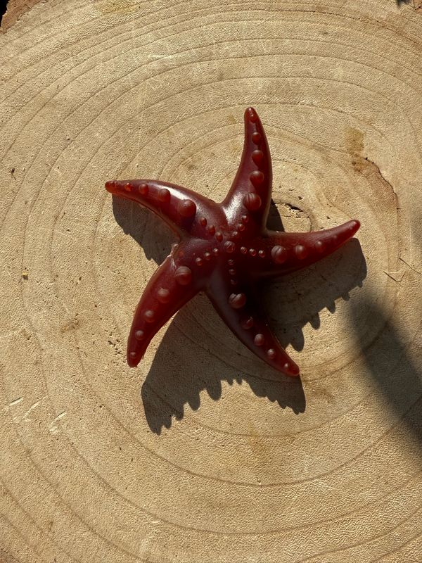 Apple And Mint Starfish