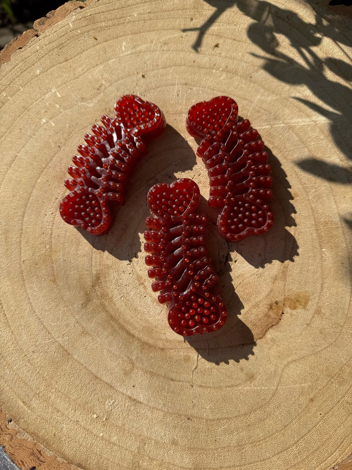 Strawberry Dental Bone