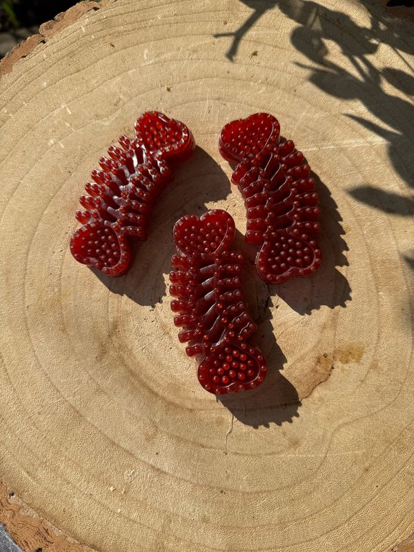 Strawberry Dental Bone