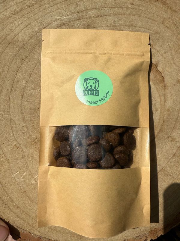Insect Treats