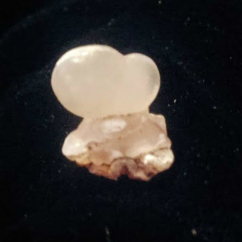 Little Heart Head Dude