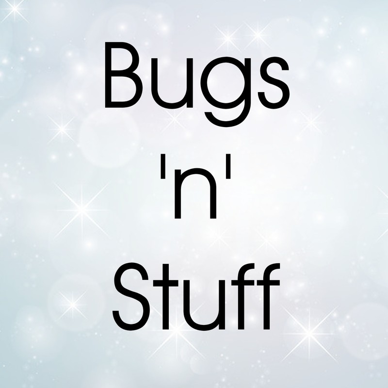 Bugs n Stuff