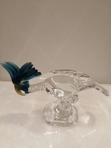 Pappagallo Cacatua testa blue
