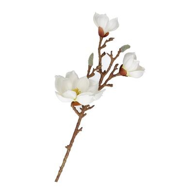 MAGGIE Magnolia bianca 3 fiori