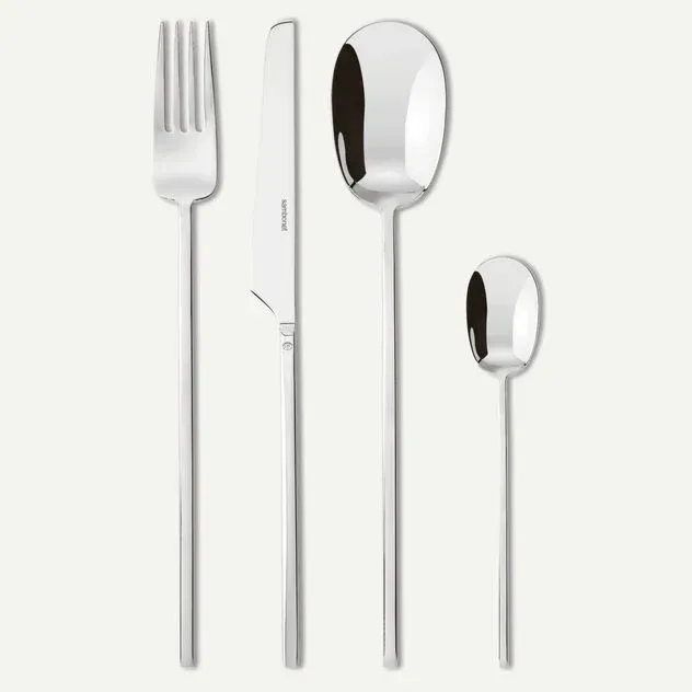 Servizio 24 Pz Monoblocco 100 acciaio Inox