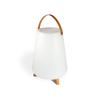 Secchiello ghiaccio con altoparlante. Speaker Rooftop bluetooth, lampada LED, wine cooler