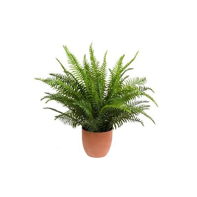 Pianta con vaso " PIANTALA " Felce h. 60 cm.