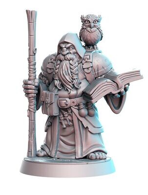 Dramnir the Dwarf Wizard