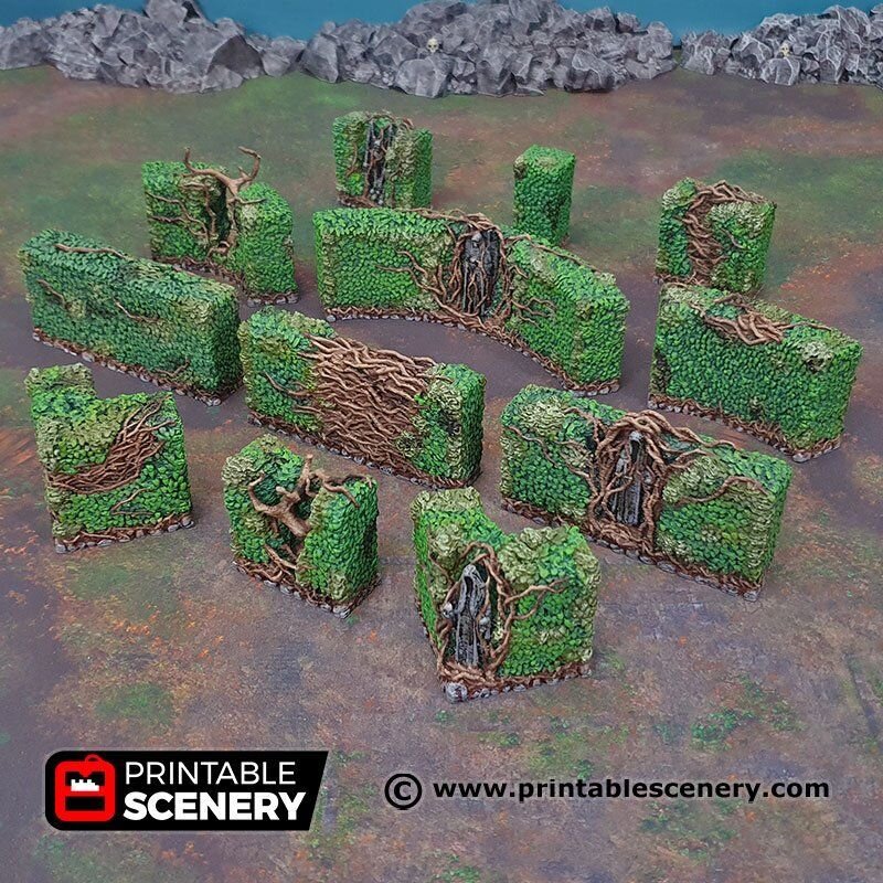 Hedge Maze