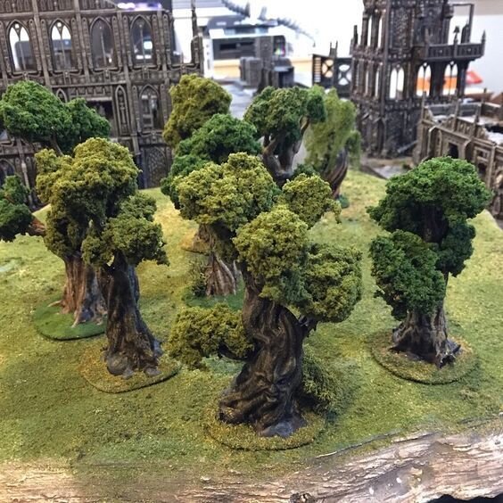 Winterdale Gnarly Trees