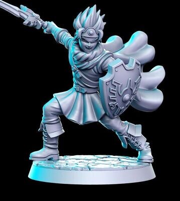 Shin the Paladin