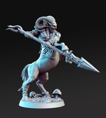 Ceiron the Centaur Warrior