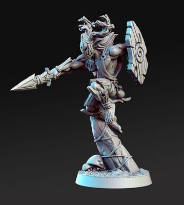 Quickspear the Fae Fighter